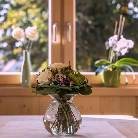 Saunaloft Schwarzwald Gemeinde Aichhalden