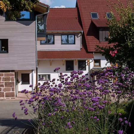 Saunaloft Schwarzwald Apartment