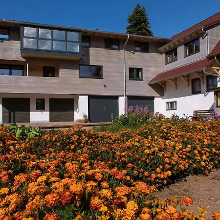 Saunaloft Schwarzwald Apartment Aichhalden